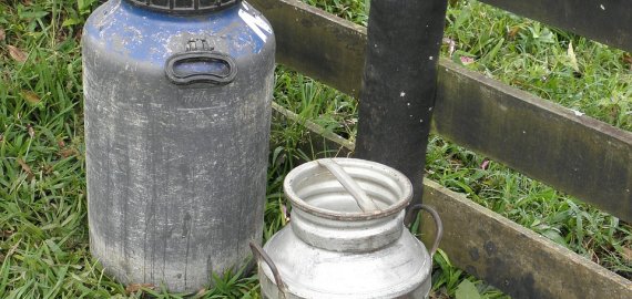 Didinama susietoji parama už pienines karves