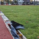 Stadiono renovacija - finišo tiesiojoje (video+foto)