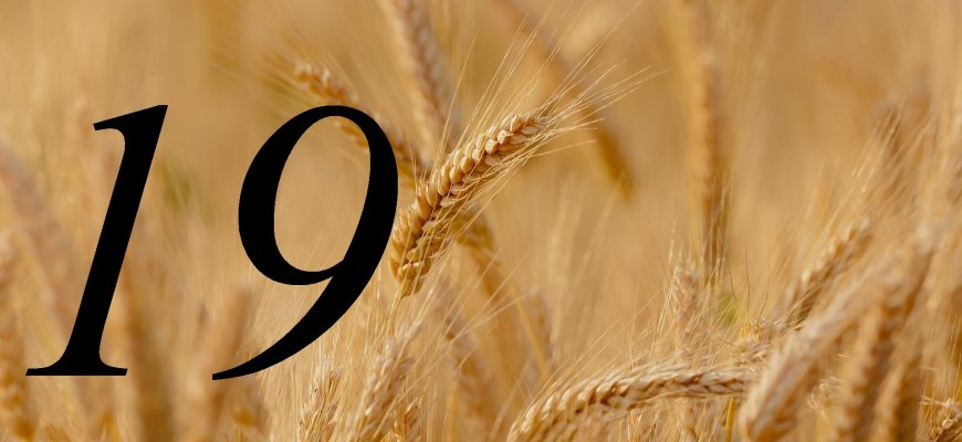Rugpjūčio 19-oji Lietuvoje ir pasaulyje