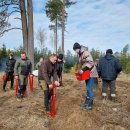 Rokiškėnų „Laisvės miškas“ sužaliuos Bajorų girioje – įvyko nacionalinis miškasodis (foto)