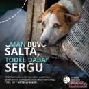 Specialistai įspėja: nuo -15°C lauke laikomus gyvūnus reikia įvesti į vidaus patalpas