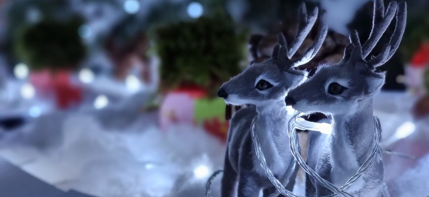 Sinoptiko prognozė: Kūčių vakarą dangus bus debesuotas, per Kalėdas – šiek tiek sustiprės vėjas