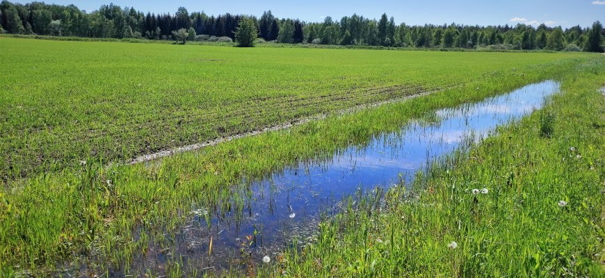 ŽŪM siūlo skelbti nacionalinę ekstremaliąją situaciją dėl šalį skalaujančių liūčių