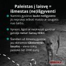 Mirus šeimininkui gyvūnai lieka vieni: kaip to išvengti