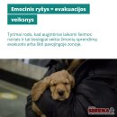 Krizės metu žmonės neturėtų rinktis tarp savo saugumo ir augintinio: Lietuvai reikia aiškios tvarkos dėl gyvūnų priedangose