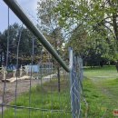 Rokiškio Liongino Šepkos parke – pavojingas incidentas (video+foto)