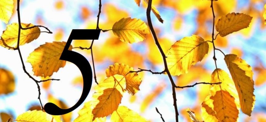 Spalio 5-oji Lietuvoje ir pasaulyje