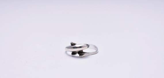 Platinos panaudojimo būdai - kur dažniausiai naudojama?