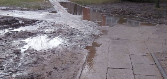 Šaligatviai mikrorajone: nei plaukti, nei skristi