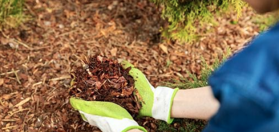 Mulčias – vienas pirkinys, keturguba nauda