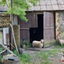 Savaitgalis kaime gali būti neįprastas: paragauti, sužinoti ir pažinti kviečia bendras Lietuvos ir Latvijos projektas „Turizmo pasiūlos plėtra Sėlos regione“ (foto)