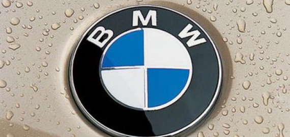 Kriaunų seniūnijoje sulaikytas jaunas girtas vyras, vairavęs draugo