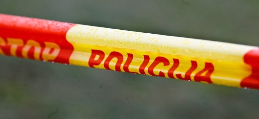 Sriubiškių k. savartyne rasti sprogmenys