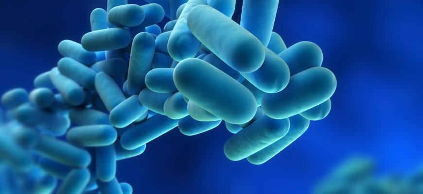 Kas savo patalpose privalo atlikti geriamojo vandens (šalto ir karšto) mikrobiologinį tyrimą legionelėms nustatyti? Pasitikrinkite, ar esate sąraše.