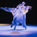 Profesionalių teatrų festivalis Rokiškyje „Teatro genas“ (spektaklių anotacijos)