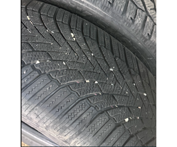 R19, 225/55 padangos