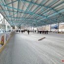 Globos namų bavariško akmenslydžio čempionatas (foto+video)