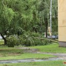 Rokiškį nusiaubė audra (video+foto)