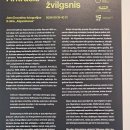Rokiškis atšventė 527-ąjį gimtadienį VISU GARSU (foto)