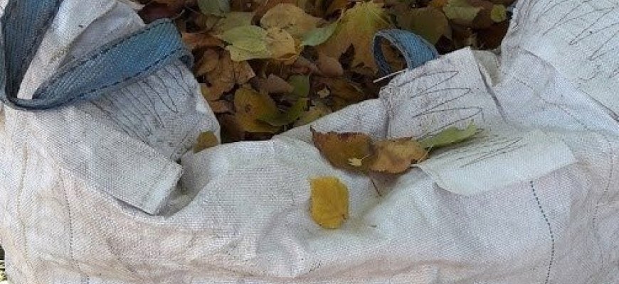 Rokiškio Komunalininkas kviečia pasirūpinti žaliosiomis atliekomis