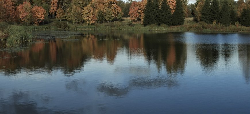 Panevėžio apskrityje esančiuose ežeruose pagausėjo žuvų