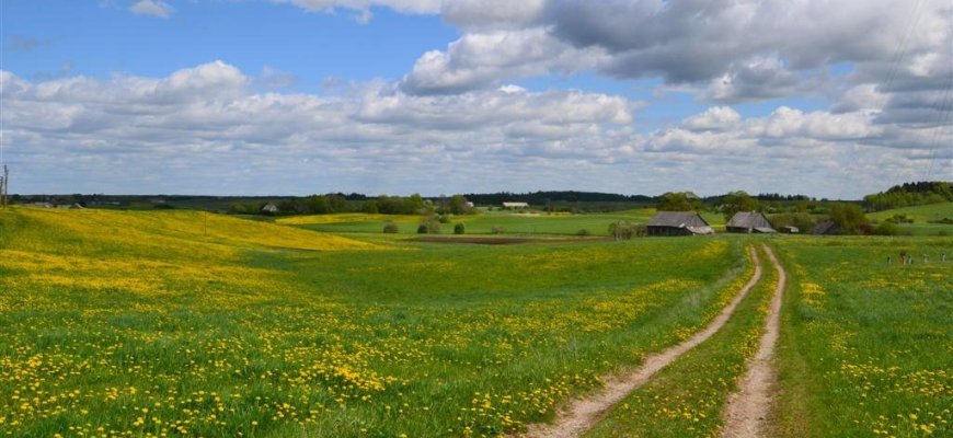 Statybą leidžiantis dokumentas vietinės reikšmės keliui