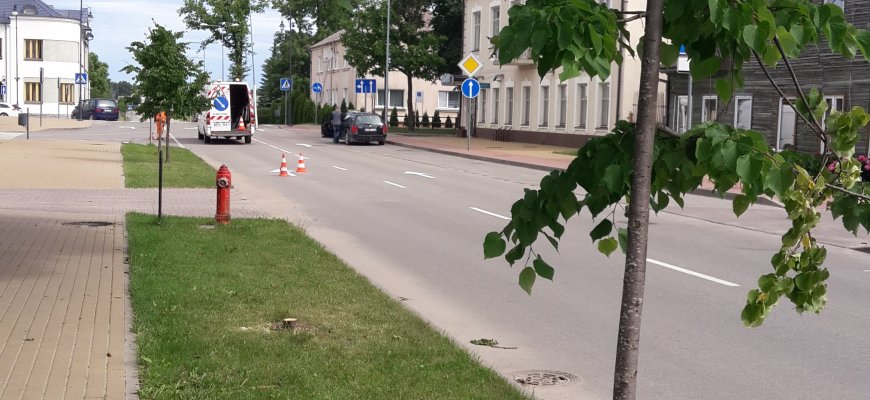 Rokiškio mieste naktį siautėję chuliganai nupjovė penkias liepaites