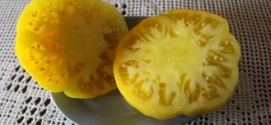 Paveldo veislė – Lenny and Graces Kentucky Heirloom – apie tai, ką verta saugoti