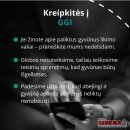 Mirus šeimininkui gyvūnai lieka vieni: kaip to išvengti