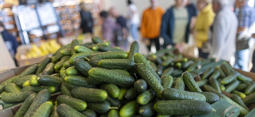 Agurkų sezonas įsibėgėjo: sočių ir nebrangių pietų dubenėlių receptai, kurie nepaliks abejingų