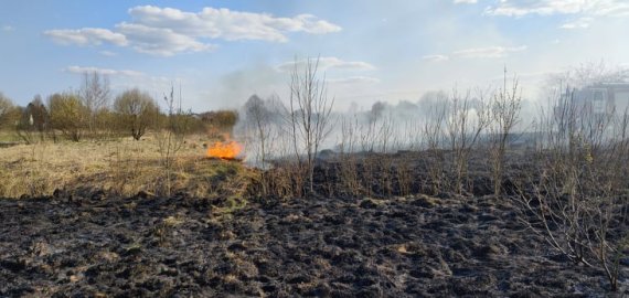 Ugniagesiai primena: nedeginkite pernykštės žolės