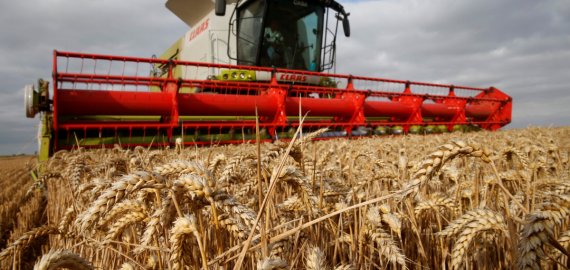 Javapjūtė: ūkininkai pjauna ne tik javus, bet ir elektros stulpus