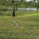 Seniūnija žino apie prieš du mėnesius nuverstą ženklą