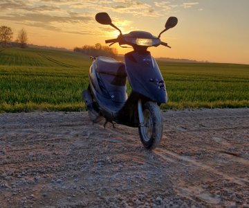 „Honda super dio“