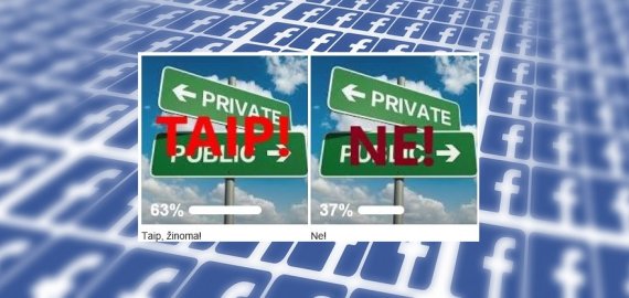 Balsavime - teigiamas žmonių požiūris į žadamą steigti privačią mokyklą Rokiškyje