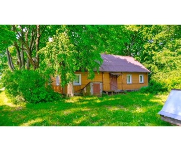 Vienkiemis netoli Pandėlio