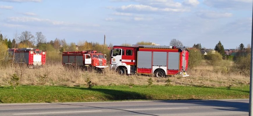 Degė žolė