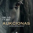 Rokiškio JC kviečia dar vienai gerumo bangai – kartos aukcioną, kurio lėšos keliaus į „Arklių slėnį“
