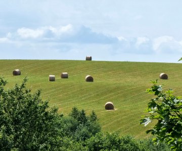 Žemė Obelių seniūnijoje