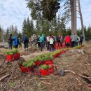Rokiškėnų „Laisvės miškas“ sužaliuos Bajorų girioje – įvyko nacionalinis miškasodis (foto)