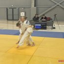 Iš dziudo čempionato – su svarbiomis pergalėmis