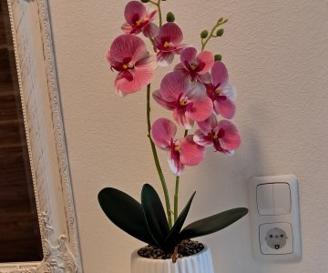 Stilinga dirbtinė orchidėja keraminiame vazone