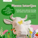 Rokiškio krašto muziejus kviečia