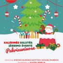 Rokiškio rajone tęsiasi eglučių įžiebimo maratonas