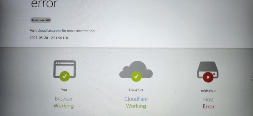 Dėl ko „lūžta“ Rokiškio rajono savivaldybės internetinis puslapis?