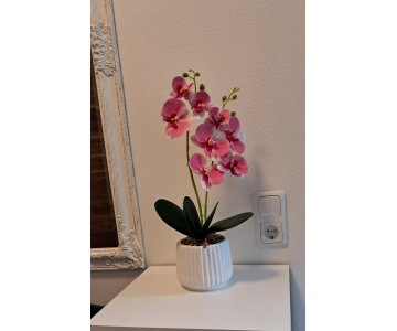 Stilinga dirbtinė orchidėja keraminiame vazone