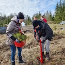 Rokiškėnų „Laisvės miškas“ sužaliuos Bajorų girioje – įvyko nacionalinis miškasodis (foto)