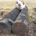 Vamzdis storasienis (talpa)