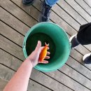 Žaidimai, žvejyba ir kitos pramogos: Velniakalnis vėl buvo pilnas sportuojančių vaikų bei tėvų (foto)