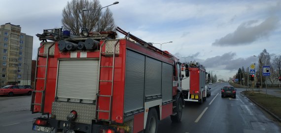 Gaisras pasiglemžė moters ir jos šuns gyvybes